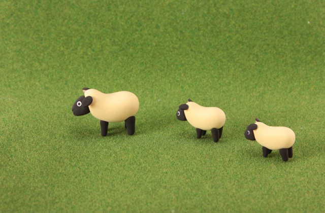 ネットで検索する猫